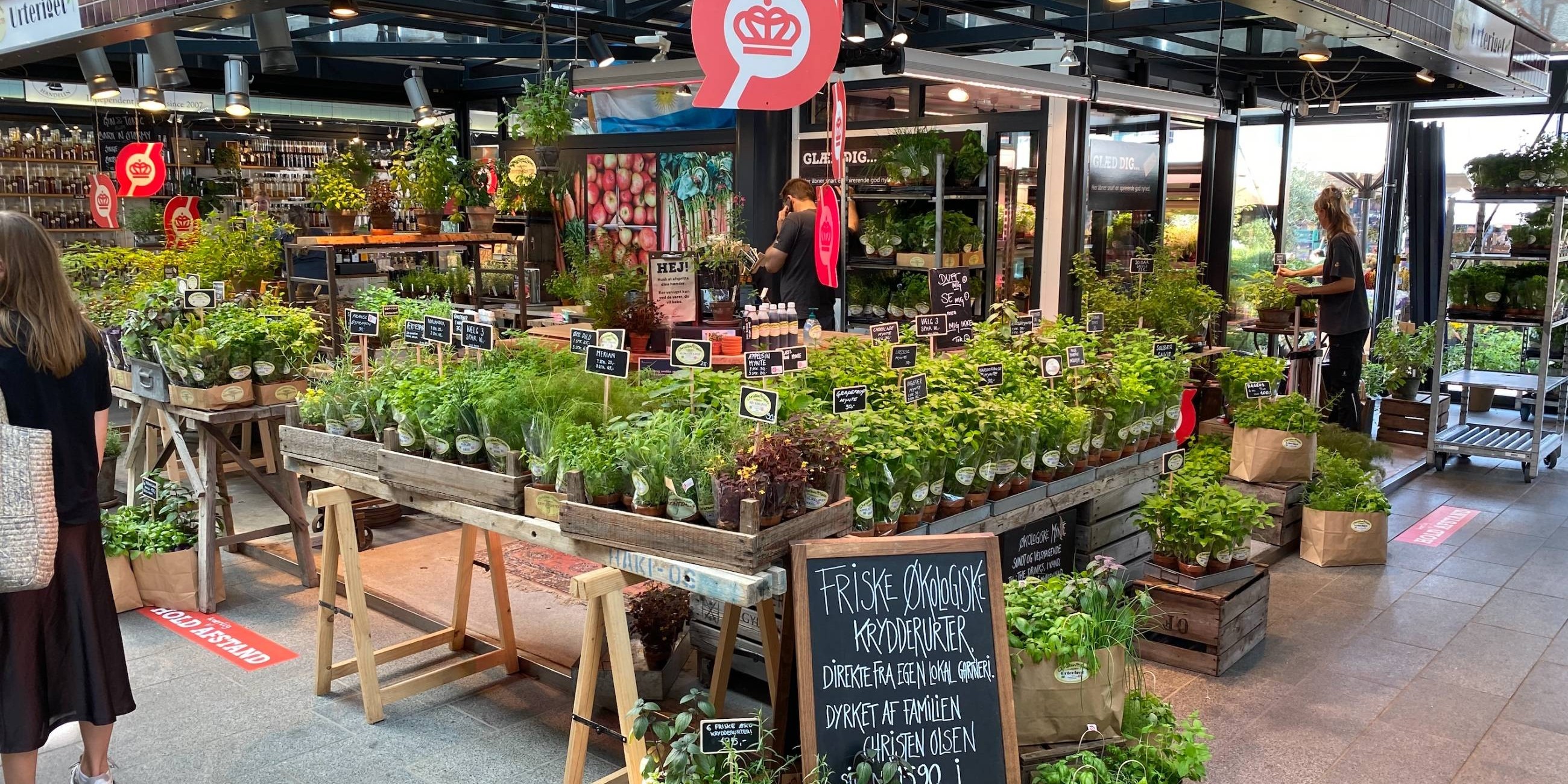 Nyt mikrogartneri: Gå på opdagelse blandt 80 økologiske krydderurter og mikrogrønt midt i København